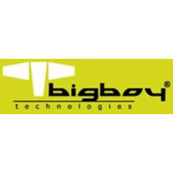Bigboy Bts432/32G 32Gb Ddr4 3200Mhz Cl22 Registered Ecc Server Memory