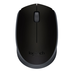 Logitech M171 Siyah Kablosuz Mouse (910-004424)